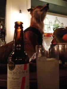 Fox at Mark Hix's bar.